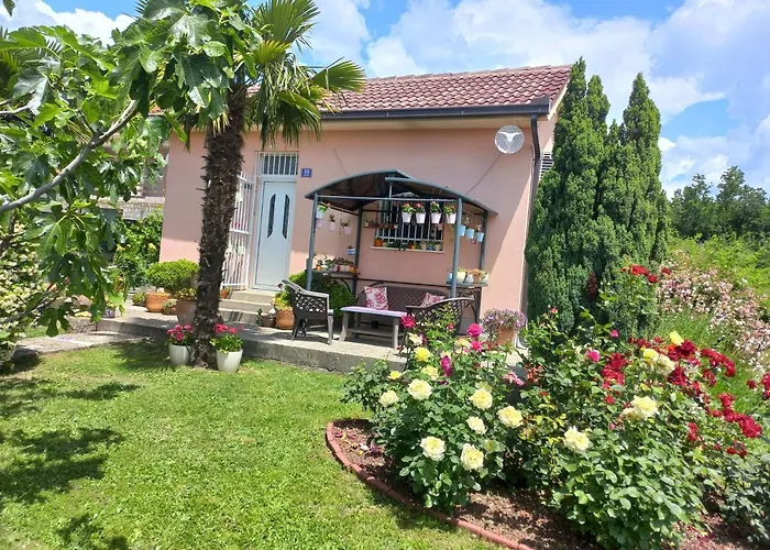 Sun Garden