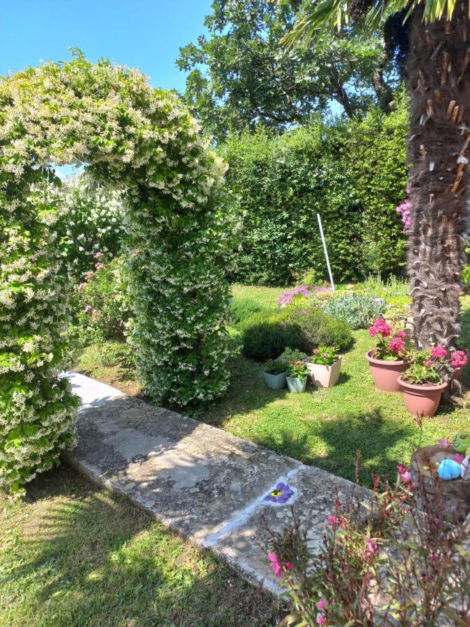 Sun Garden *