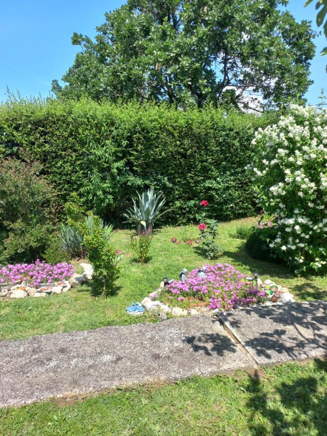 Sun Garden