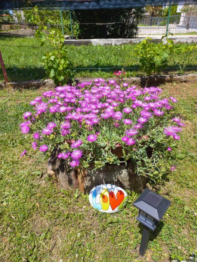 Sun Garden *
