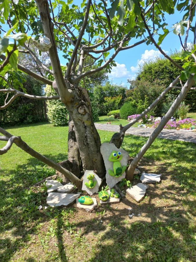 Sun Garden *