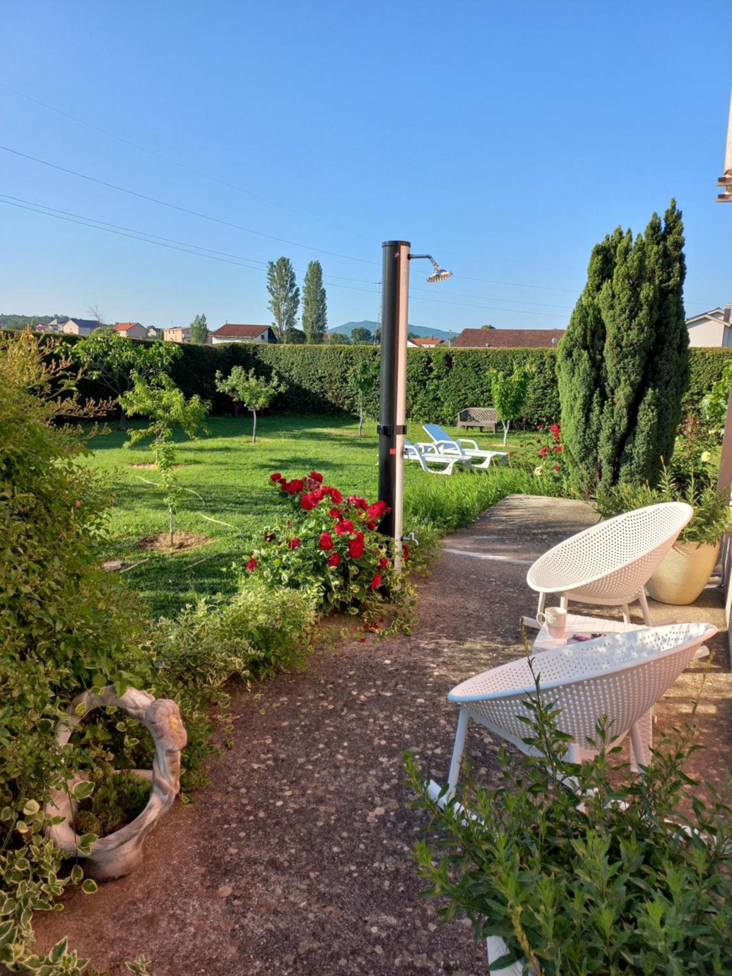 Sun Garden * Citluk